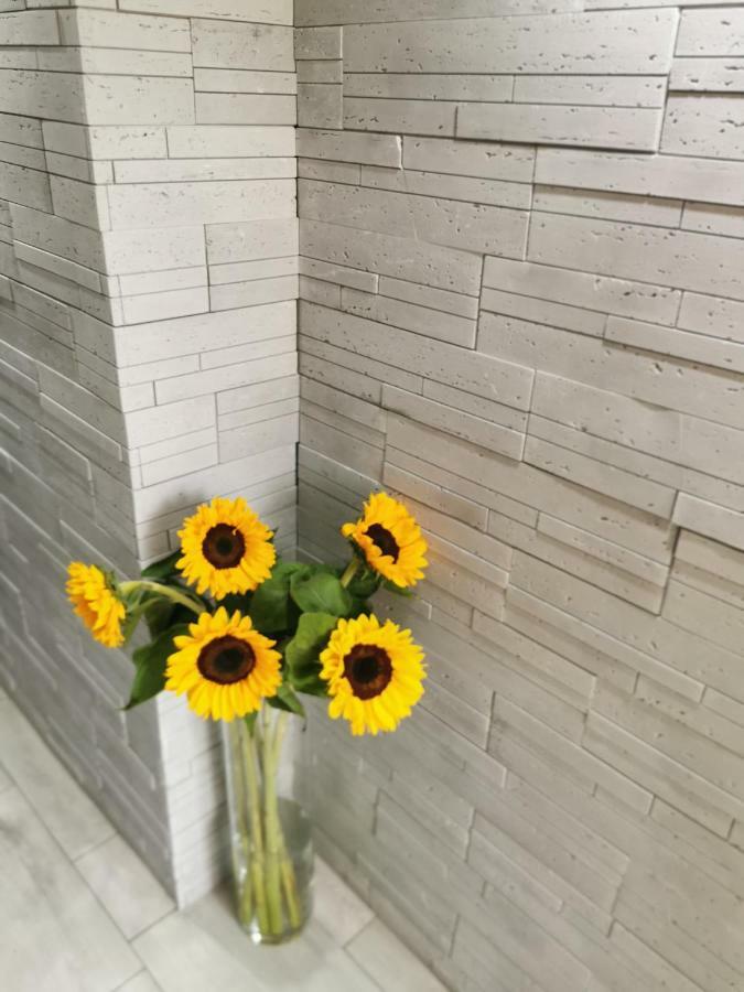 Gorski Apartament W Szczyrku エクステリア 写真